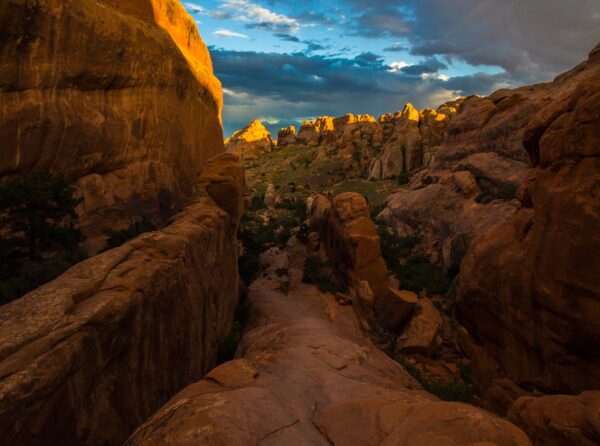 Baja California Norte, Bahia de Los AngelesBaja