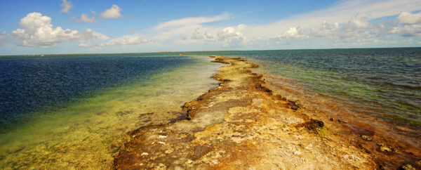 South Wales coast