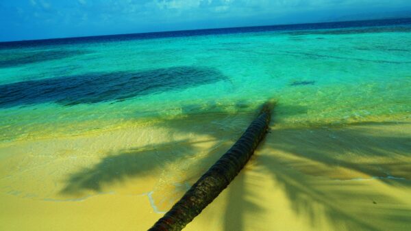 Barrier Reef and Turquoise Sea