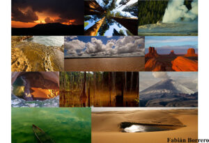 FB COLLAGE FINE ART PRINTS