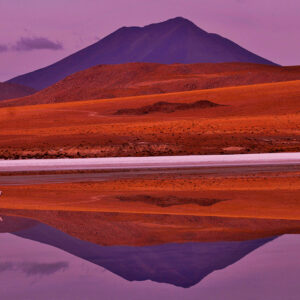FB PINK BOLIVIAN FAMINGO VOLCANO SUNSET