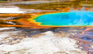 FB YELLOWSOTE GRAND PRISMATIC RAINBOW